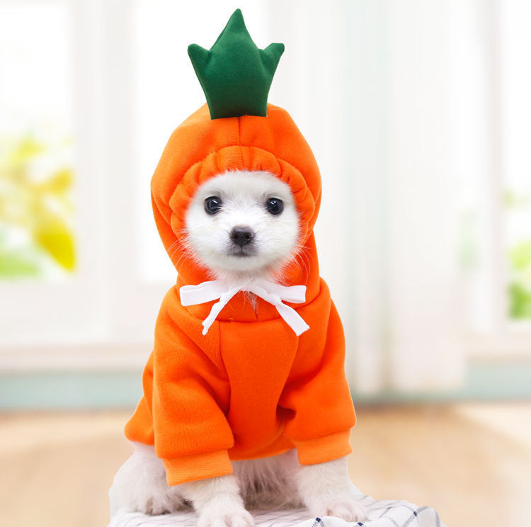 Dog Autumn And Winter Clothing Small And Medium