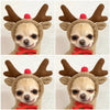 Dog Autumn And Winter Clothing Small And Medium