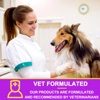 15 in 1 Multivitamin 180 Chewable Tablets Suitable For All Dogs Boosts Immune Function Enhances Heart Support Peking Duck Flavor