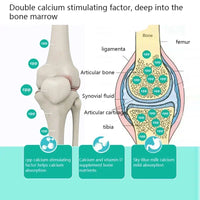Pet Chondroitin large bone calcium Tablets 180 tablets joint Shu nutritional supplements for dogs daily health care