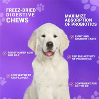 Probiotics for Dogs - Supports Gut Health, Digestive Balance & Seasonal Allergy Relief, Relieve Itchy Skin